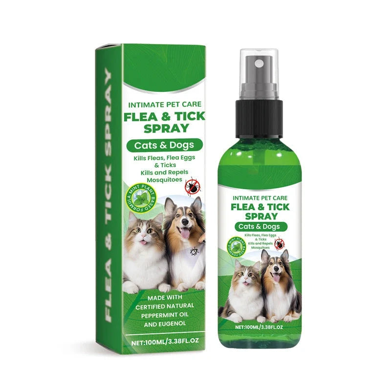 PurePlayPaws Dog Care Bundle – 4 Essentials & Save 10%